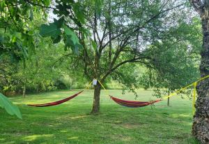 圣霍安-莱斯丰特斯Mas Violella allotjament rural的挂在公园里树上的吊床