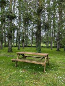 PontfarcyLa Maison des Amis en Normandie的木凳坐在树边的草地上