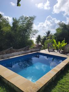 雅帕拉廷加Pousada Vila do Alto的庭院内的游泳池,带椅子和树木