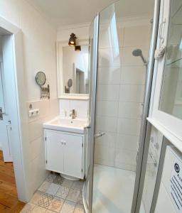 比苏姆Deichhaus No.5的白色的浴室设有水槽和淋浴。