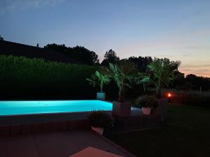 朗斯多夫Pool Sauna Entspannung的后院的游泳池,晚上有植物