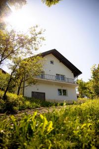 Cerklje ob KrkiElegant House in a Beautiful Village的田野中间的白色大房子