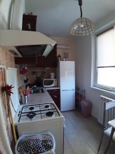 布达佩斯Apartment的厨房配有炉灶和白色冰箱。