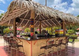 达文波特Relaxing resort, spacious pool near Disney的一个带椅子和草伞的酒吧