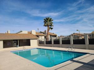 拉斯维加斯2bed 1 bath condo near Nellis afb & the strip的棕榈树屋前的游泳池