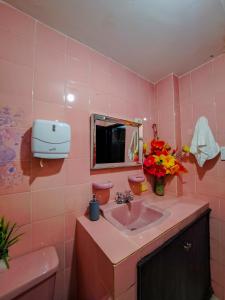 里奥阿查Yosu Hostal的粉红色的浴室设有水槽和镜子