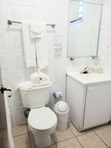 阿提约帕劳朵尔布恩酒店咖啡馆的白色的浴室设有卫生间和水槽。