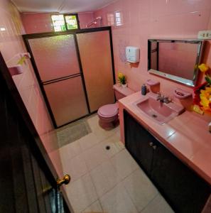 里奥阿查Yosu Hostal的粉红色的浴室设有水槽和卫生间