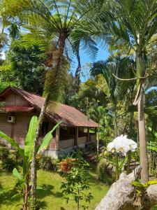 塔巴南Kebun Villa, Belimbing, Bali的棕榈树花园中的房子