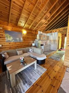 乌尔齐尼Cottage Ajna - Ada Bojana的带沙发和咖啡桌的客厅