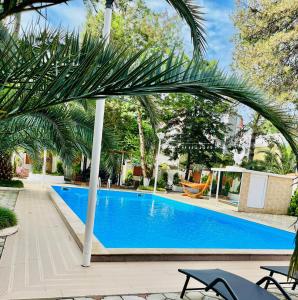 乌雷基奥巴特瑞酒店的周围种有棕榈树的大型蓝色游泳池