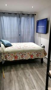 墨西哥城Contenedores Maritimos的一间卧室配有一张床和一台平面电视