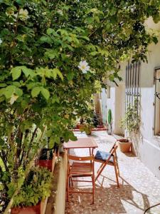 居辛Quartier Romantikum的庭院里树下的桌椅