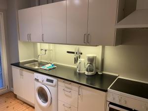 哥本哈根Christianshavn Apartments 536的厨房配有洗衣机和水槽