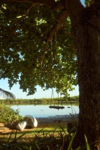 黑河区Harmonie的挂在湖边树上的秋千