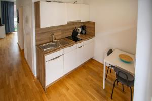 因斯布鲁克Modern Innsbruck Apartment I Free Parking的一个带水槽和桌子的小厨房