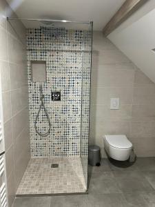 布鲁瓦Gîte « Les Basse des Grouets »的带淋浴和卫生间的浴室