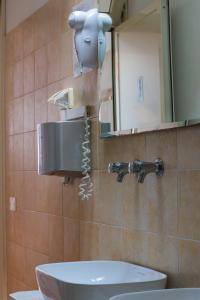 布雷佐内加尔达Agricampeggio Paradiso的墙上带吹风机的浴室