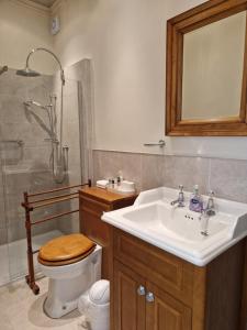 切斯特Golborne Manor Bed and Breakfast的一间带水槽、卫生间和淋浴的浴室