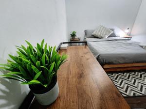 古晋Upspot Kuching Waterfront Premium Hostel的客厅配有沙发和植物桌子