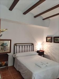 阿尔么丽亚El Marqués, magnífica casa rural con piscina的卧室配有一张带灯的白色大床