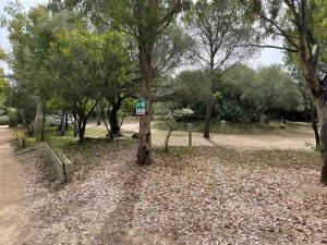 库尼亚纳Cugnana Porto Rotondo Bungalows - Camping的公园里一棵树上标着一个标志