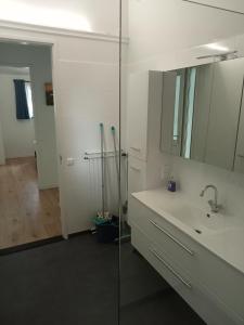 乌得勒支Domstad Resort Utrecht Vakantiewoningen的一间带水槽、镜子和淋浴的浴室