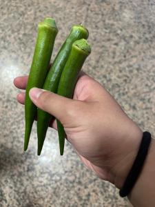 Minxiong旺来庭园民宿的手上拿着两块绿色蔬菜的人