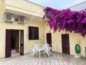 切萨雷奥港Villetta il Veliero的庭院配有桌椅和紫色鲜花