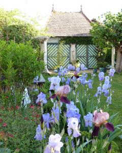 MarcignyChambres d'Hôtes Les Pergolas的一座花园,在房子前方种有蓝色和白色的花朵