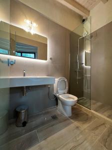 Alykes PotamouStablus house的浴室配有卫生间、盥洗盆和淋浴。