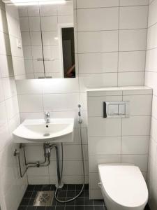 赫尔辛基MELLUNMAKI Renovated 3 bedroom apt next to metro的一间带水槽、卫生间和镜子的浴室