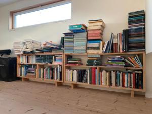 卡拉赛达I tre schen的一堆书放在房间里木架上