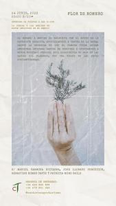 埃斯波尔莱斯Agroturismo Can Torna AG178的把植物放在墙上的手