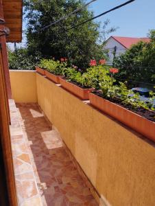 那沃达利Vila Florelena的墙上挂着盆栽植物的挡墙