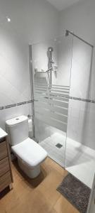 埃尔卡沃德加塔Mi Casita del Cabo的一间带卫生间和玻璃淋浴间的浴室