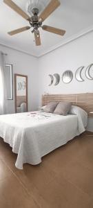 埃尔卡沃德加塔Mi Casita del Cabo的一间卧室配有一张带吊扇的床