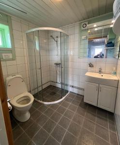 瓦德瑟艾奎罗伊度假屋的带淋浴、卫生间和盥洗盆的浴室