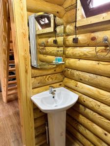博尔若米Eco House Borjomi的小木屋内带水槽的浴室