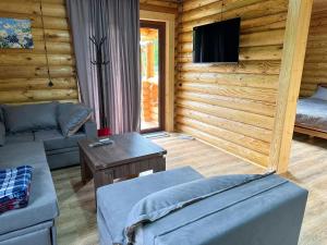 博尔若米Eco House Borjomi的小木屋内的客厅配有沙发和电视