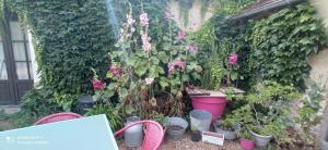 Nouans-les-FontainesLe Relais des Fontaines的种有粉红色花卉和盆栽的花园
