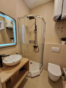 格拉达茨Apartment Ana - Gradac的带淋浴、盥洗盆和卫生间的浴室