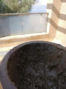 索瓦马Dead Sea Jordan Sea View Samarah Resort Traveler Award 2024 winner的窗户前的黑色喷泉
