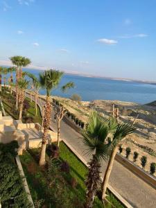 索瓦马Dead Sea Jordan Sea View Samarah Resort Traveler Award 2024 winner的一组棕榈树,毗邻大海