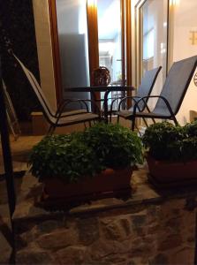 卡尔利拉基Rafailia's House的桌子上一组椅子和植物