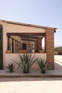 卡萨雷斯The Wild Olive Andalucía Palma Guestroom的两棵植物前面的房子