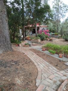 卡利亚里Tiny House的花园中的一个砖砌的走道