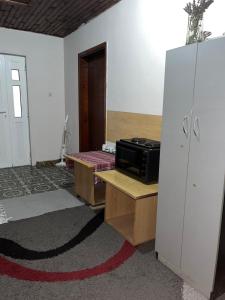 波德戈里察Villa Natalija的客房配有微波炉和冰箱。