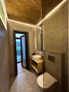 斯拉夫西克Veranda的一间带卫生间和水槽的浴室