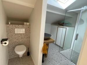 NietapB&B Unieks的一间带卫生间和玻璃淋浴间的浴室